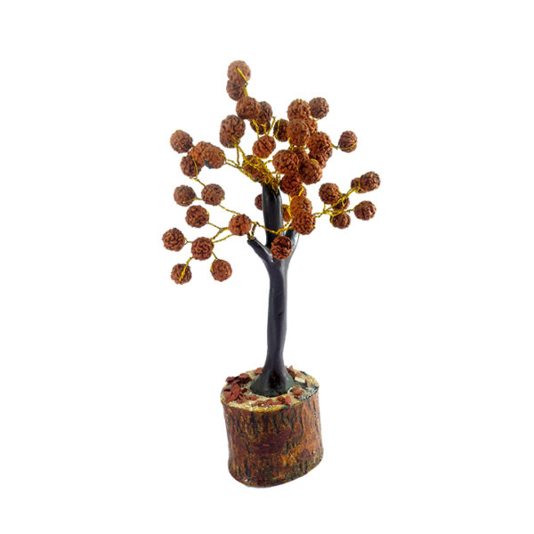 Rudraksha Tree - Image 3