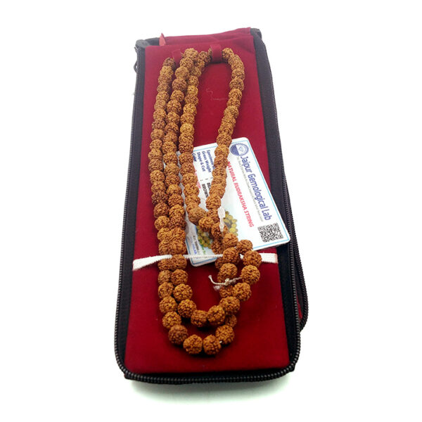 6 Faced Rudraksha Mala (छ: मुखी रूद्राक्ष माला)