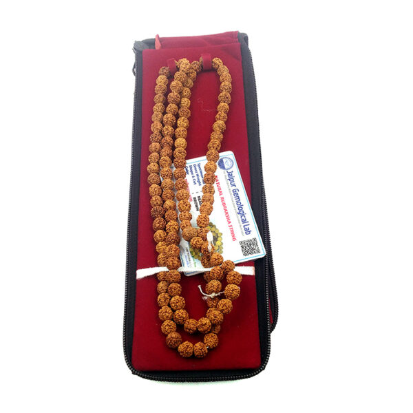 6 Faced Rudraksha Mala (छ: मुखी रूद्राक्ष माला) - Image 3